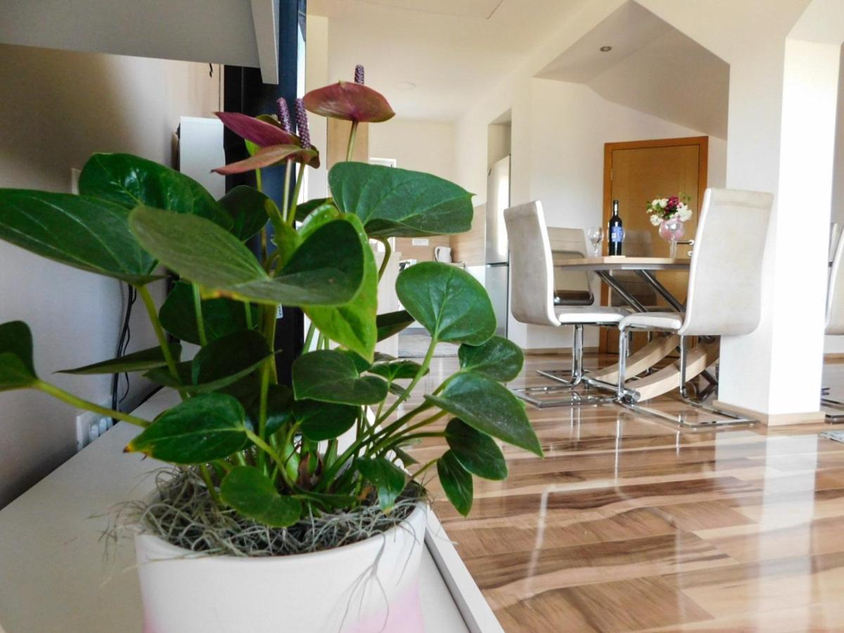 Apartman Lara Оточац Экстерьер фото